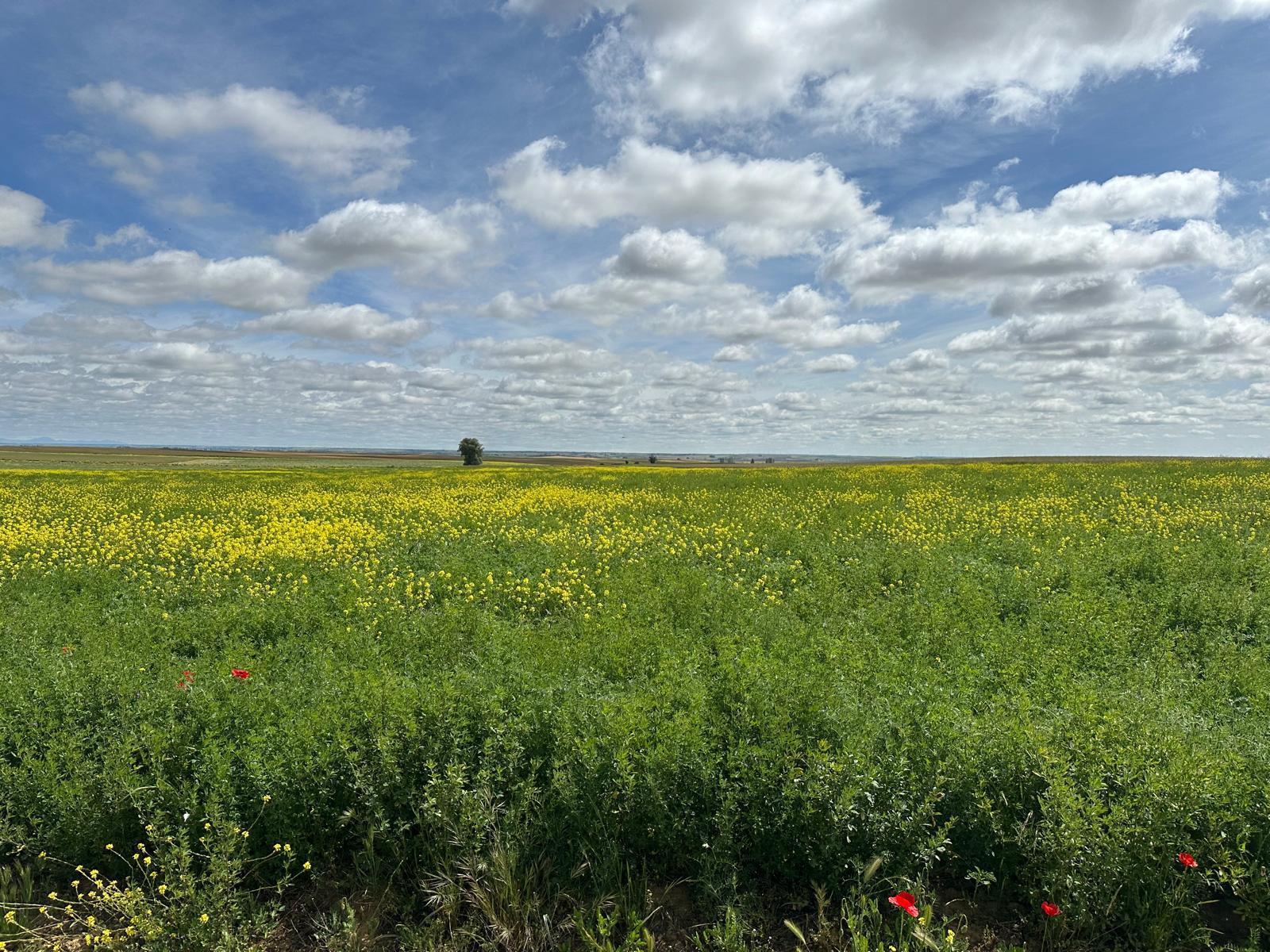 Esforzaos este primer día