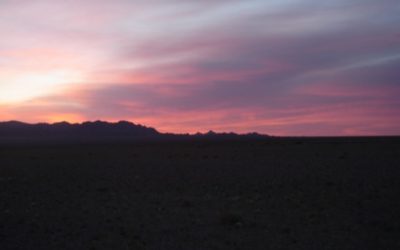 Pensamiento simiente: el lazo