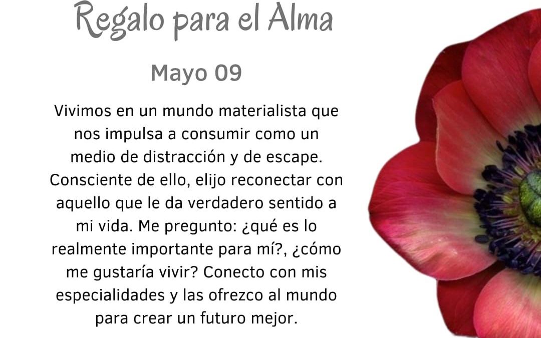 ¿Qué es lo importante?