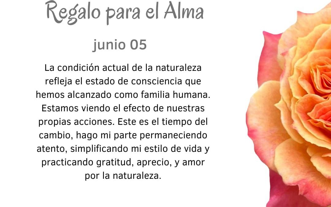 Simplifico y practico gratitud