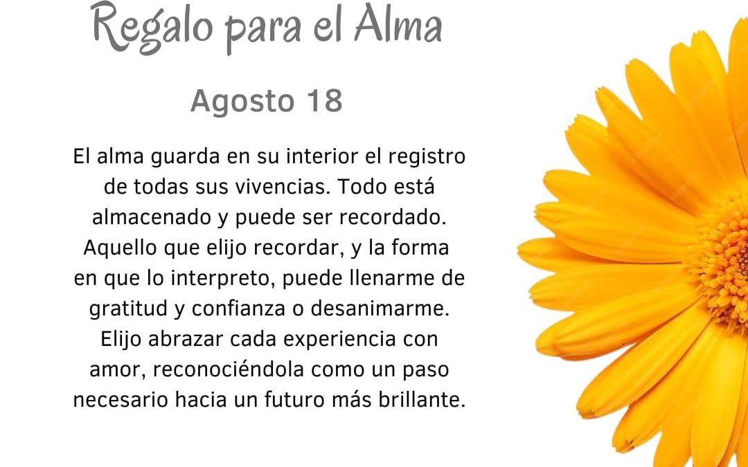 Paso a paso