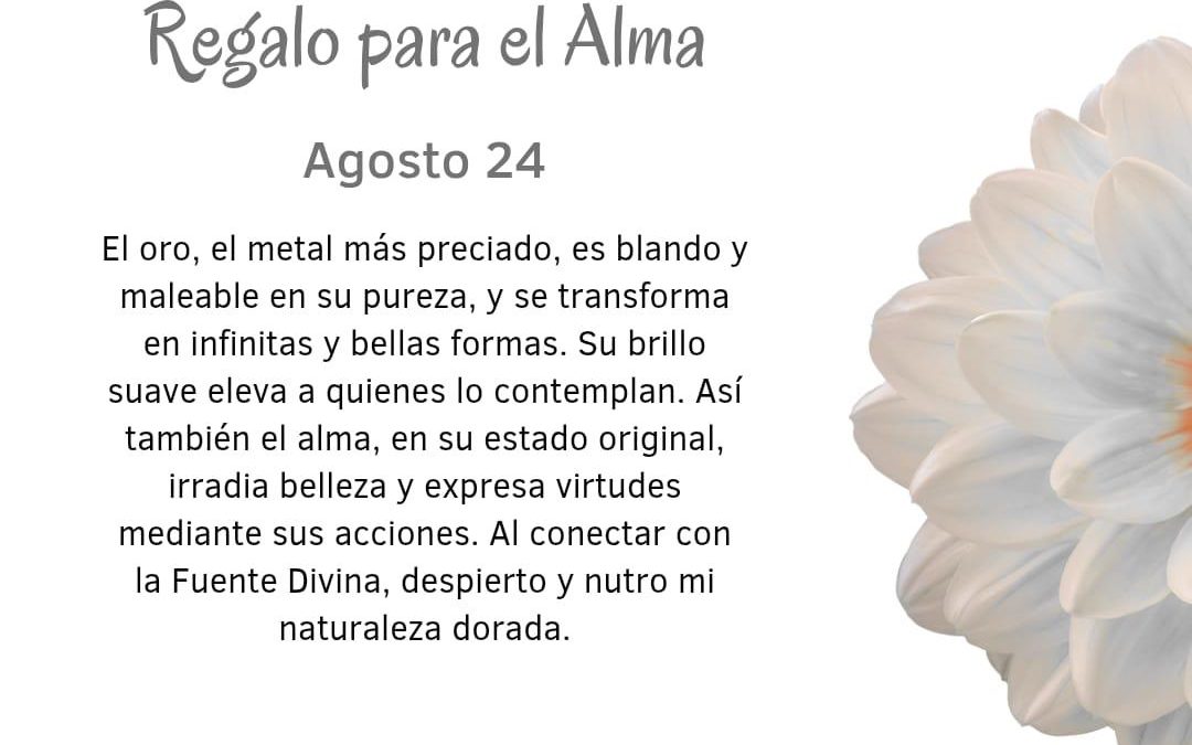 Despierto