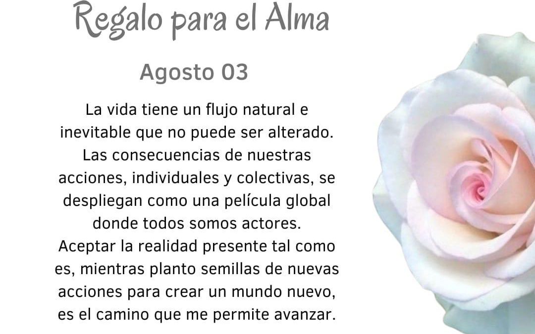Planto semillas