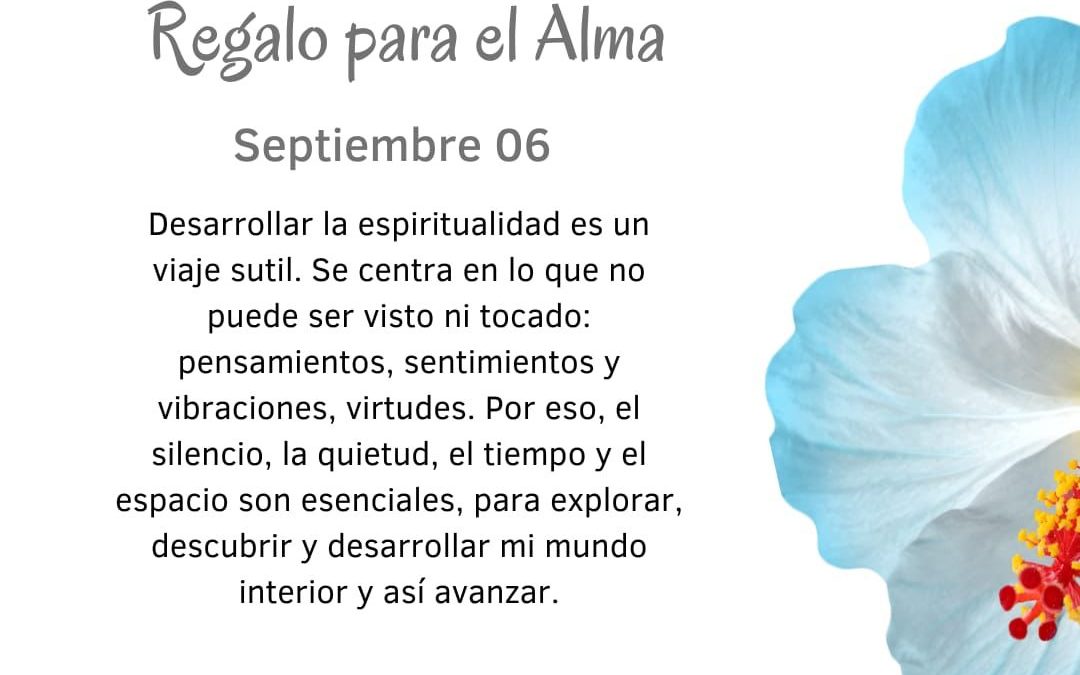 El viaje sutil