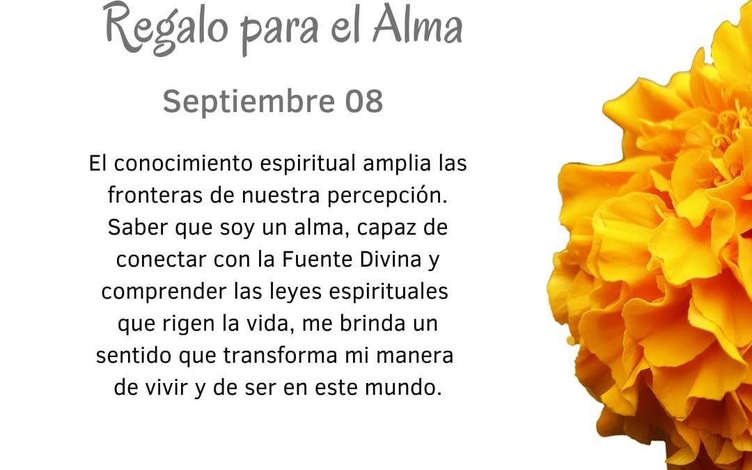 Me brinda un sentido