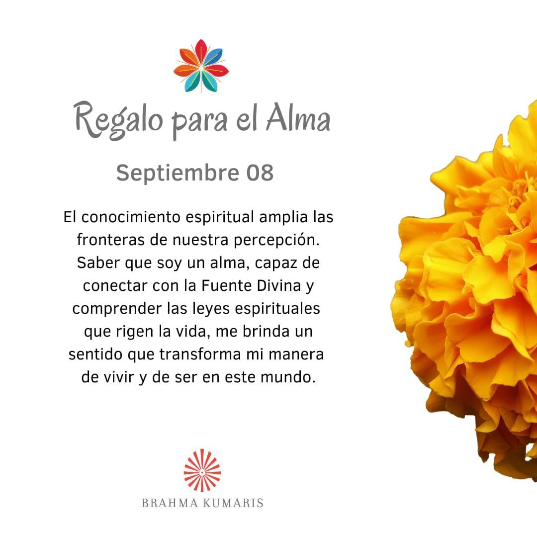 Me brinda un sentido