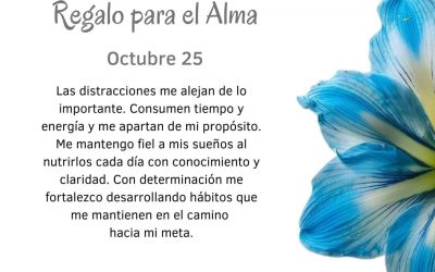 Rechazo distracciones