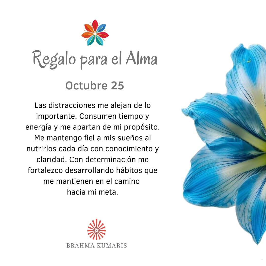 Rechazo distracciones