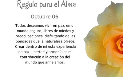 Intento contribuir