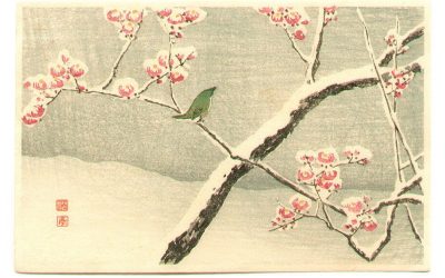 Pensamiento simiente 12 enero 2026: almas unidas con Dios