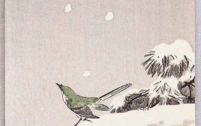 La luz que viene de arriba