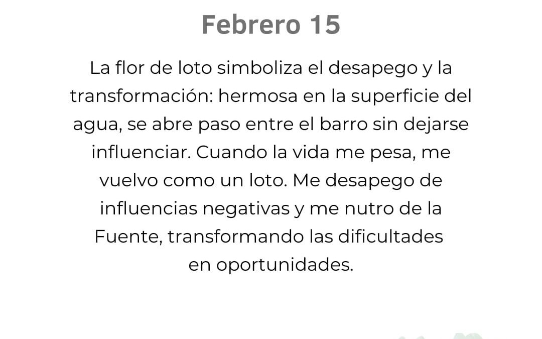 Como la flor de loto