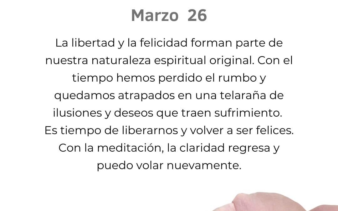 Salir de la telaraña