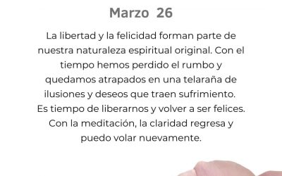 Salir de la telaraña