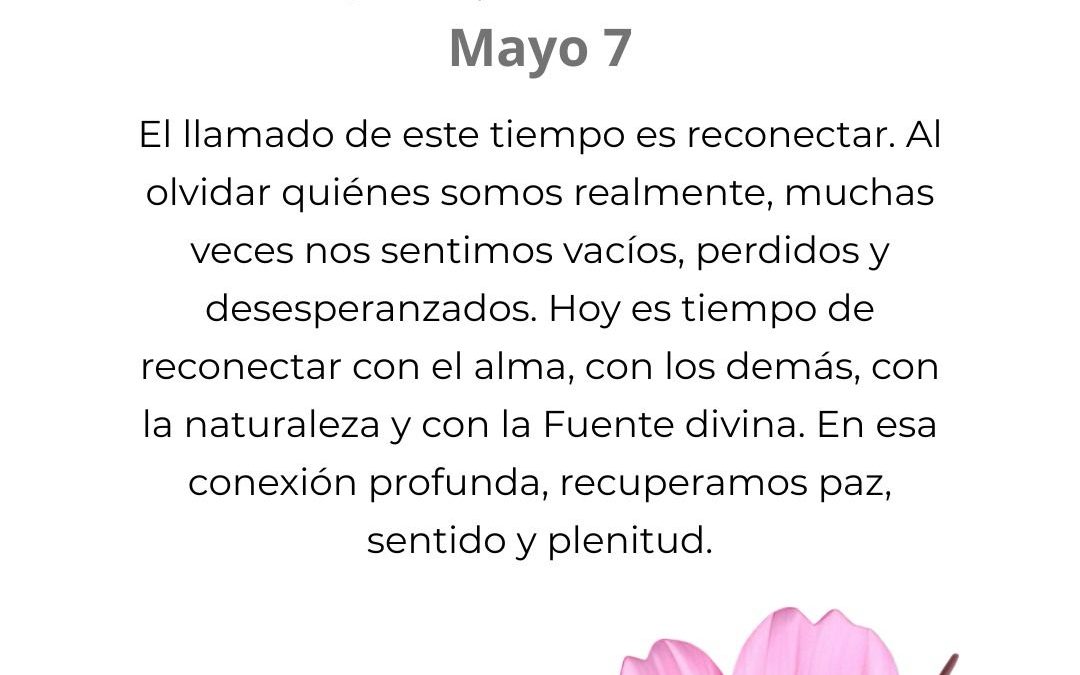 Reconectar
